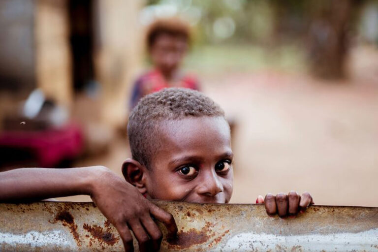 Résultats de l’appel PSR : 12 projets sélectionnés dans la région de Tillabéri