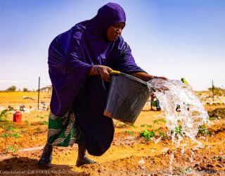 Le Maraîchage des hommes et femmes de Youri (10)